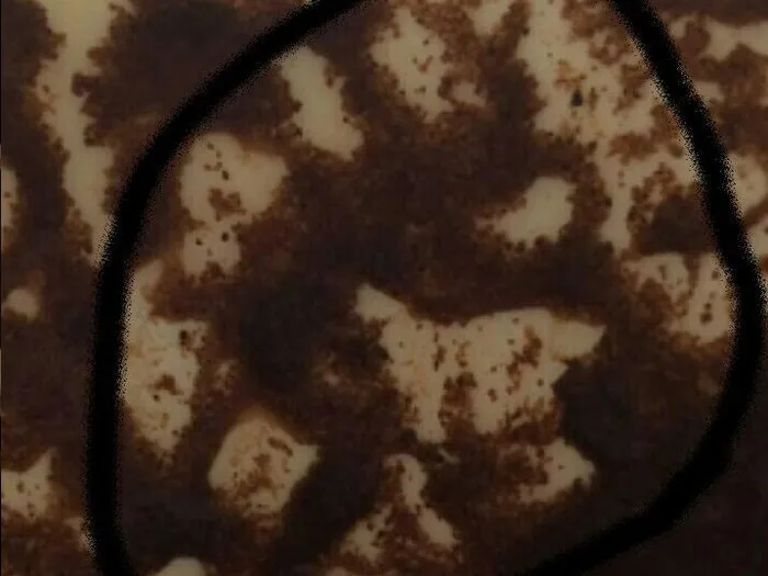 Запись на прием к лучшей гадалке в Таганроге